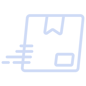 Express Courier Service